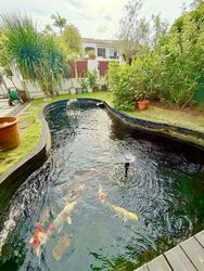 Sunrise Villa (D28), Semi-Detached #503878121